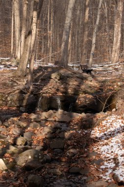 Küçük bir şelale kayaların üzerinde çağlar ve güneş lekeli bir ormanda kar. Arka planda bank olan bir kış sahnesi. Huzurlu doğa ayarları.