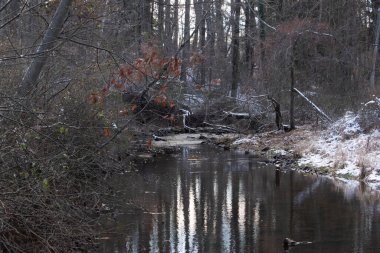 Sakin kış deresi sahnesi. Yapraksız dallar karanlık, yansıtıcı bir akarsu oluşturuyor. Kıyılarda kar tozu izleri ve birkaç portakal yaprağı var. Doğanın sessiz güzelliği.