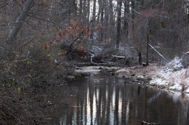 Sakin kış deresi sahnesi. Yapraksız dallar karanlık, yansıtıcı bir akarsu oluşturuyor. Kıyılarda kar tozu izleri ve birkaç portakal yaprağı var. Doğanın sessiz güzelliği.