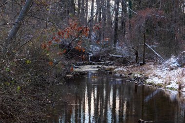 Sakin kış deresi sahnesi. Yapraksız dallar karanlık, yansıtıcı bir akarsu oluşturuyor. Kıyılarda kar tozu izleri ve birkaç portakal yaprağı var. Doğanın sessiz güzelliği.