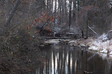 Sakin kış deresi sahnesi. Yapraksız dallar karanlık, yansıtıcı bir akarsu oluşturuyor. Kıyılarda kar tozu izleri ve birkaç portakal yaprağı var. Doğanın sessiz güzelliği.