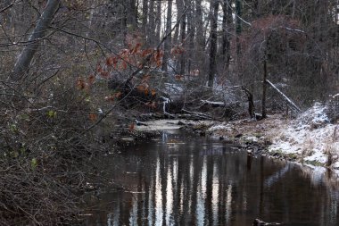 Sakin kış deresi sahnesi. Yapraksız dallar karanlık, yansıtıcı bir akarsu oluşturuyor. Kıyılarda kar tozu izleri ve birkaç portakal yaprağı var. Doğanın sessiz güzelliği.