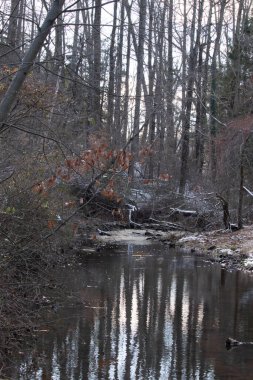 Sakin kış deresi sahnesi. Yapraksız dallar karanlık, yansıtıcı bir akarsu oluşturuyor. Kıyılarda kar tozu izleri ve birkaç portakal yaprağı var. Doğanın sessiz güzelliği.
