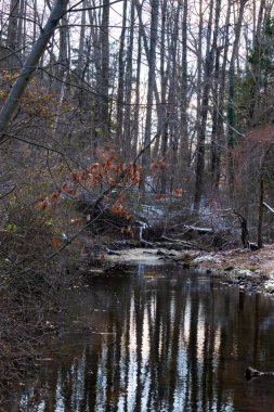 Sakin kış deresi sahnesi. Yapraksız dallar karanlık, yansıtıcı bir akarsu oluşturuyor. Kıyılarda kar tozu izleri ve birkaç portakal yaprağı var. Doğanın sessiz güzelliği.