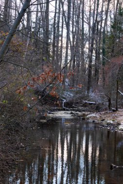 Sakin kış deresi sahnesi. Yapraksız dallar karanlık, yansıtıcı bir akarsu oluşturuyor. Kıyılarda kar tozu izleri ve birkaç portakal yaprağı var. Doğanın sessiz güzelliği.