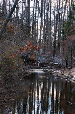 Sakin kış deresi sahnesi. Yapraksız dallar karanlık, yansıtıcı bir akarsu oluşturuyor. Kıyılarda kar tozu izleri ve birkaç portakal yaprağı var. Doğanın sessiz güzelliği.