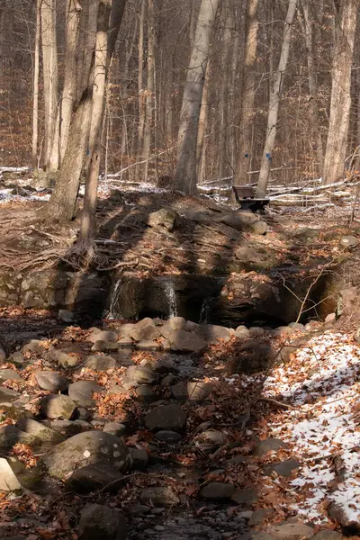 Küçük bir şelale kayaların üzerinde çağlar ve güneş lekeli bir ormanda kar. Arka planda bank olan bir kış sahnesi. Huzurlu doğa ayarları.