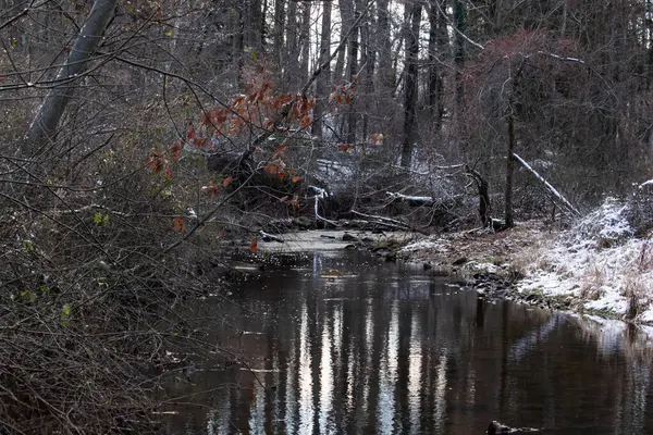 Sakin kış deresi sahnesi. Yapraksız dallar karanlık, yansıtıcı bir akarsu oluşturuyor. Kıyılarda kar tozu izleri ve birkaç portakal yaprağı var. Doğanın sessiz güzelliği.