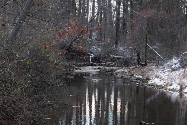 Sakin kış deresi sahnesi. Yapraksız dallar karanlık, yansıtıcı bir akarsu oluşturuyor. Kıyılarda kar tozu izleri ve birkaç portakal yaprağı var. Doğanın sessiz güzelliği.