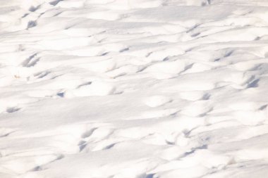 Dalgalanan kar yığınları gölgeler ve röflelerle dokulu, soyut bir manzara yaratır. Kış temaları, arka planlar veya doğal desenler için mükemmeldir..