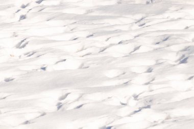 Dalgalanan kar yığınları gölgeler ve röflelerle dokulu, soyut bir manzara yaratır. Kış temaları, arka planlar veya doğal desenler için mükemmeldir..