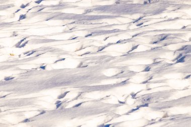 Dalgalanan kar yığınları gölgeler ve röflelerle dokulu, soyut bir manzara yaratır. Kış temaları, arka planlar veya doğal desenler için mükemmeldir..