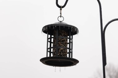 Tohumlarla dolu metal bir kuş yemliği dışarıda asılı duruyor. Besleyicinin karanlık yüzeyi eriyen buz saçaklarıyla bezenmiş. Bu da yeni erime ya da soğuk koşulların kuşlara kış aylarında yiyecek sağladığını gösteriyor..