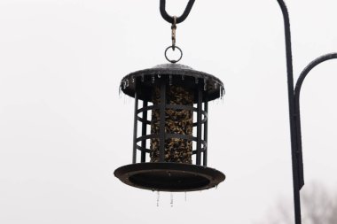 Tohumlarla dolu metal bir kuş yemliği dışarıda asılı duruyor. Besleyicinin karanlık yüzeyi eriyen buz saçaklarıyla bezenmiş. Bu da yeni erime ya da soğuk koşulların kuşlara kış aylarında yiyecek sağladığını gösteriyor..