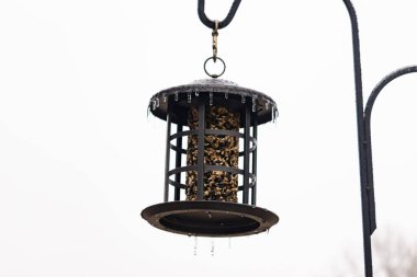 Tohumlarla dolu metal bir kuş yemliği dışarıda asılı duruyor. Besleyicinin karanlık yüzeyi eriyen buz saçaklarıyla bezenmiş. Bu da yeni erime ya da soğuk koşulların kuşlara kış aylarında yiyecek sağladığını gösteriyor..