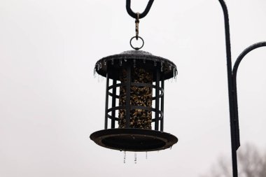 Tohumlarla dolu metal bir kuş yemliği dışarıda asılı duruyor. Besleyicinin karanlık yüzeyi eriyen buz saçaklarıyla bezenmiş. Bu da yeni erime ya da soğuk koşulların kuşlara kış aylarında yiyecek sağladığını gösteriyor..