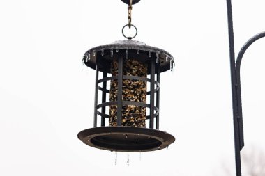 Tohumlarla dolu metal bir kuş yemliği dışarıda asılı duruyor. Besleyicinin karanlık yüzeyi eriyen buz saçaklarıyla bezenmiş. Bu da yeni erime ya da soğuk koşulların kuşlara kış aylarında yiyecek sağladığını gösteriyor..