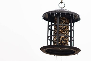 Tohumlarla dolu metal bir kuş yemliği dışarıda asılı duruyor. Besleyicinin karanlık yüzeyi eriyen buz saçaklarıyla bezenmiş. Bu da yeni erime ya da soğuk koşulların kuşlara kış aylarında yiyecek sağladığını gösteriyor..