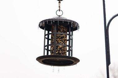 Tohumlarla dolu metal bir kuş yemliği dışarıda asılı duruyor. Besleyicinin karanlık yüzeyi eriyen buz saçaklarıyla bezenmiş. Bu da yeni erime ya da soğuk koşulların kuşlara kış aylarında yiyecek sağladığını gösteriyor..
