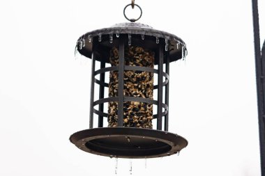 Tohumlarla dolu metal bir kuş yemliği dışarıda asılı duruyor. Besleyicinin karanlık yüzeyi eriyen buz saçaklarıyla bezenmiş. Bu da yeni erime ya da soğuk koşulların kuşlara kış aylarında yiyecek sağladığını gösteriyor..