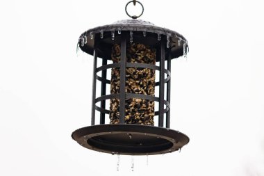 Tohumlarla dolu metal bir kuş yemliği dışarıda asılı duruyor. Besleyicinin karanlık yüzeyi eriyen buz saçaklarıyla bezenmiş. Bu da yeni erime ya da soğuk koşulların kuşlara kış aylarında yiyecek sağladığını gösteriyor..