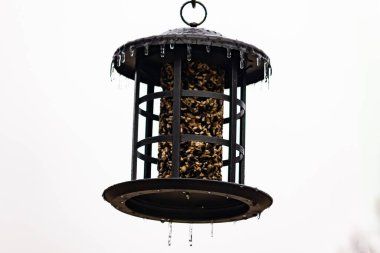 Tohumlarla dolu metal bir kuş yemliği dışarıda asılı duruyor. Besleyicinin karanlık yüzeyi eriyen buz saçaklarıyla bezenmiş. Bu da yeni erime ya da soğuk koşulların kuşlara kış aylarında yiyecek sağladığını gösteriyor..