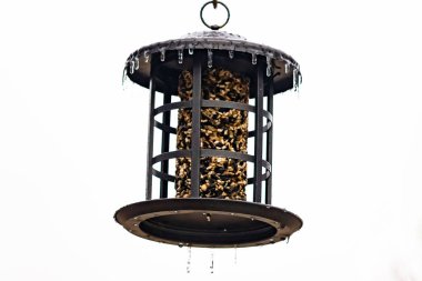 Tohumlarla dolu metal bir kuş yemliği dışarıda asılı duruyor. Besleyicinin karanlık yüzeyi eriyen buz saçaklarıyla bezenmiş. Bu da yeni erime ya da soğuk koşulların kuşlara kış aylarında yiyecek sağladığını gösteriyor..