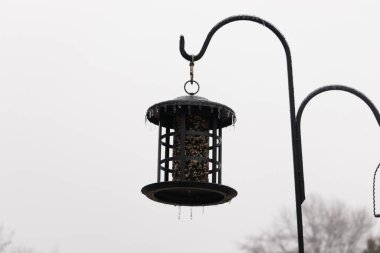 Tohumlarla dolu metal bir kuş yemliği dışarıda asılı duruyor. Besleyicinin karanlık yüzeyi eriyen buz saçaklarıyla bezenmiş. Bu da yeni erime ya da soğuk koşulların kuşlara kış aylarında yiyecek sağladığını gösteriyor..