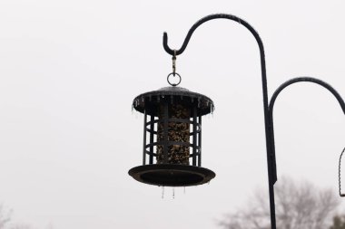 Tohumlarla dolu metal bir kuş yemliği dışarıda asılı duruyor. Besleyicinin karanlık yüzeyi eriyen buz saçaklarıyla bezenmiş. Bu da yeni erime ya da soğuk koşulların kuşlara kış aylarında yiyecek sağladığını gösteriyor..
