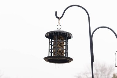 Tohumlarla dolu metal bir kuş yemliği dışarıda asılı duruyor. Besleyicinin karanlık yüzeyi eriyen buz saçaklarıyla bezenmiş. Bu da yeni erime ya da soğuk koşulların kuşlara kış aylarında yiyecek sağladığını gösteriyor..