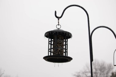 Tohumlarla dolu metal bir kuş yemliği dışarıda asılı duruyor. Besleyicinin karanlık yüzeyi eriyen buz saçaklarıyla bezenmiş. Bu da yeni erime ya da soğuk koşulların kuşlara kış aylarında yiyecek sağladığını gösteriyor..