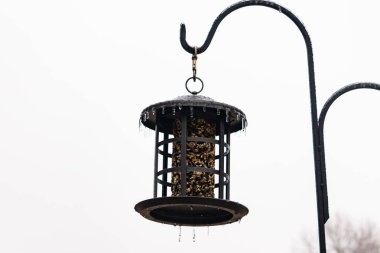 Tohumlarla dolu metal bir kuş yemliği dışarıda asılı duruyor. Besleyicinin karanlık yüzeyi eriyen buz saçaklarıyla bezenmiş. Bu da yeni erime ya da soğuk koşulların kuşlara kış aylarında yiyecek sağladığını gösteriyor..