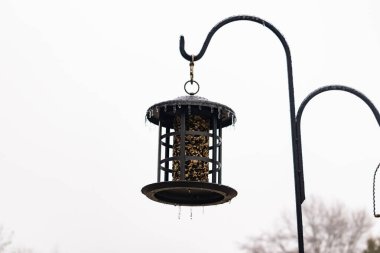Tohumlarla dolu metal bir kuş yemliği dışarıda asılı duruyor. Besleyicinin karanlık yüzeyi eriyen buz saçaklarıyla bezenmiş. Bu da yeni erime ya da soğuk koşulların kuşlara kış aylarında yiyecek sağladığını gösteriyor..