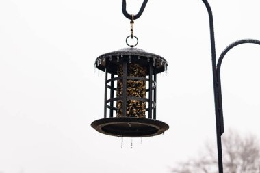 Tohumlarla dolu metal bir kuş yemliği dışarıda asılı duruyor. Besleyicinin karanlık yüzeyi eriyen buz saçaklarıyla bezenmiş. Bu da yeni erime ya da soğuk koşulların kuşlara kış aylarında yiyecek sağladığını gösteriyor..
