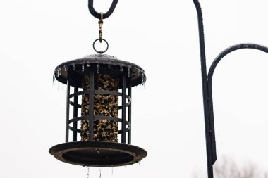 Tohumlarla dolu metal bir kuş yemliği dışarıda asılı duruyor. Besleyicinin karanlık yüzeyi eriyen buz saçaklarıyla bezenmiş. Bu da yeni erime ya da soğuk koşulların kuşlara kış aylarında yiyecek sağladığını gösteriyor..