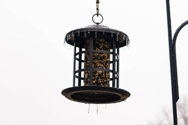 Tohumlarla dolu metal bir kuş yemliği dışarıda asılı duruyor. Besleyicinin karanlık yüzeyi eriyen buz saçaklarıyla bezenmiş. Bu da yeni erime ya da soğuk koşulların kuşlara kış aylarında yiyecek sağladığını gösteriyor..