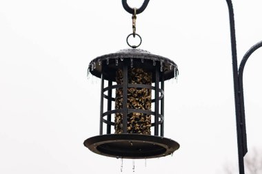 Tohumlarla dolu metal bir kuş yemliği dışarıda asılı duruyor. Besleyicinin karanlık yüzeyi eriyen buz saçaklarıyla bezenmiş. Bu da yeni erime ya da soğuk koşulların kuşlara kış aylarında yiyecek sağladığını gösteriyor..