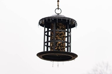 Tohumlarla dolu metal bir kuş yemliği dışarıda asılı duruyor. Besleyicinin karanlık yüzeyi eriyen buz saçaklarıyla bezenmiş. Bu da yeni erime ya da soğuk koşulların kuşlara kış aylarında yiyecek sağladığını gösteriyor..