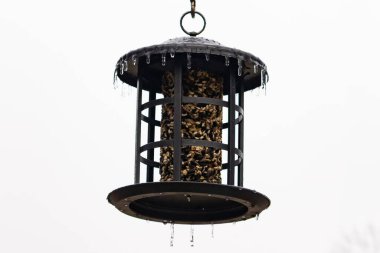 Tohumlarla dolu metal bir kuş yemliği dışarıda asılı duruyor. Besleyicinin karanlık yüzeyi eriyen buz saçaklarıyla bezenmiş. Bu da yeni erime ya da soğuk koşulların kuşlara kış aylarında yiyecek sağladığını gösteriyor..