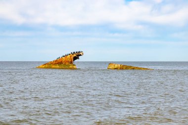 Bir gemi enkazının paslı kalıntıları, sayısız siyah kuşa tüneme olanağı sağlayan sakin, koyu mavi denizden ortaya çıkar. Gökyüzü bulutlu. Cape May New Jersey 'de perili sahil manzarası.
