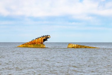 Bir gemi enkazının paslı kalıntıları, sayısız siyah kuşa tüneme olanağı sağlayan sakin, koyu mavi denizden ortaya çıkar. Gökyüzü bulutlu. Cape May New Jersey 'de perili sahil manzarası.