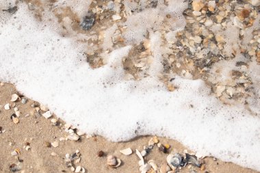 Köpüklü okyanus dalgaları, beyaz, kahverengi ve gri tonlarında çakıl taşları ve kırık deniz kabuklarının karışımıyla kaplı bir kıyıda yıkanır. Kıyıya yakın çekim.