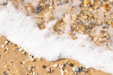 Köpüklü okyanus dalgaları, beyaz, kahverengi ve gri tonlarında çakıl taşları ve kırık deniz kabuklarının karışımıyla kaplı bir kıyıda yıkanır. Kıyıya yakın çekim.