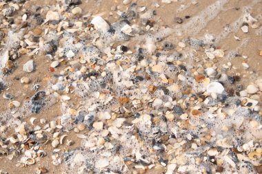 Canlı bir yakın plan, kumlu zemine dağılmış renkli deniz kabukları ve pürüzsüz çakıl taşlarıyla dolu desenli bir plaj sahnesini yakalar..