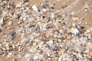 Canlı bir yakın plan, kumlu zemine dağılmış renkli deniz kabukları ve pürüzsüz çakıl taşlarıyla dolu desenli bir plaj sahnesini yakalar..