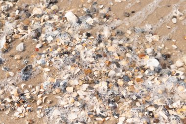 Canlı bir yakın plan, kumlu zemine dağılmış renkli deniz kabukları ve pürüzsüz çakıl taşlarıyla dolu desenli bir plaj sahnesini yakalar..