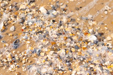 Canlı bir yakın plan, kumlu zemine dağılmış renkli deniz kabukları ve pürüzsüz çakıl taşlarıyla dolu desenli bir plaj sahnesini yakalar..