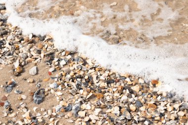 Köpüklü okyanus dalgaları, beyaz, kahverengi ve gri tonlarında çakıl taşları ve kırık deniz kabuklarının karışımıyla kaplı bir kıyıda yıkanır. Kıyıya yakın çekim.