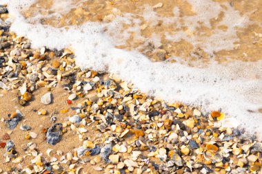 Köpüklü okyanus dalgaları, beyaz, kahverengi ve gri tonlarında çakıl taşları ve kırık deniz kabuklarının karışımıyla kaplı bir kıyıda yıkanır. Kıyıya yakın çekim.