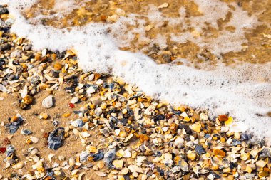 Köpüklü okyanus dalgaları, beyaz, kahverengi ve gri tonlarında çakıl taşları ve kırık deniz kabuklarının karışımıyla kaplı bir kıyıda yıkanır. Kıyıya yakın çekim.